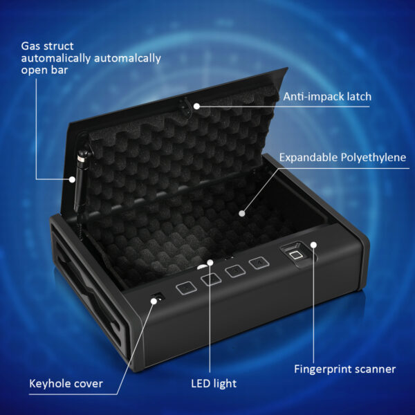 Biometric Pistol Safe Model RS-600-2